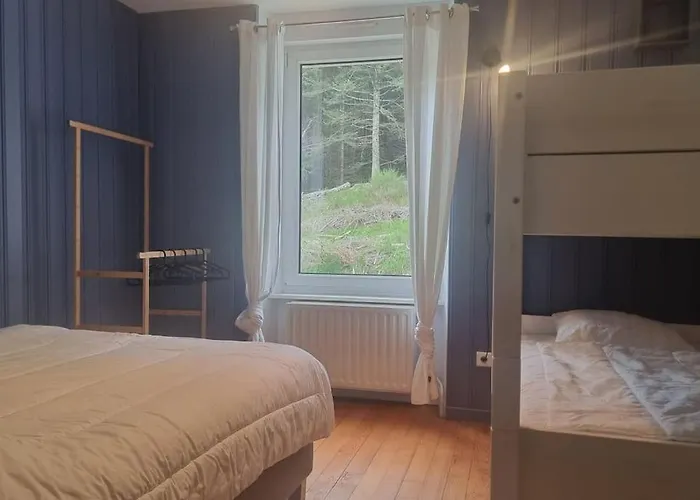 Apartment Le Petit Broche, Spacious, Sleeps 6 Xonrupt-Longemer