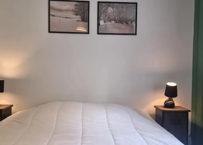 Le Petit Broche, Spacious, Sleeps 6 * Xonrupt-Longemer