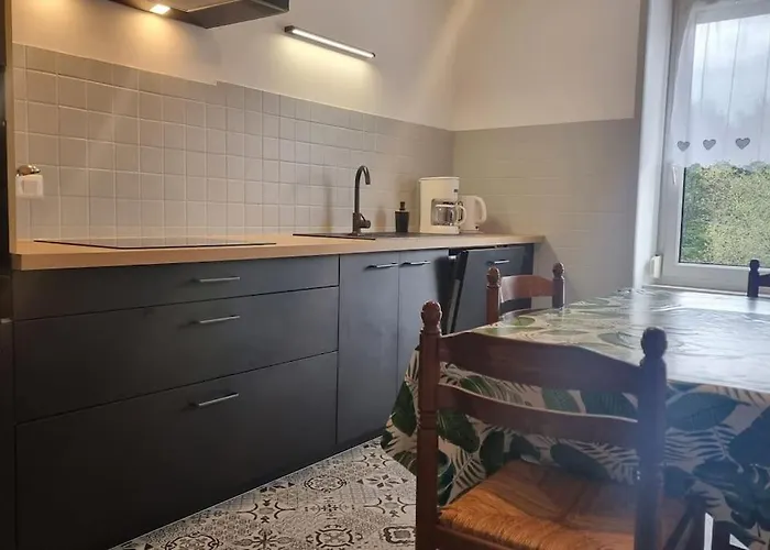 Le Petit Broche, Spacious, Sleeps 6 Apartment Xonrupt-Longemer